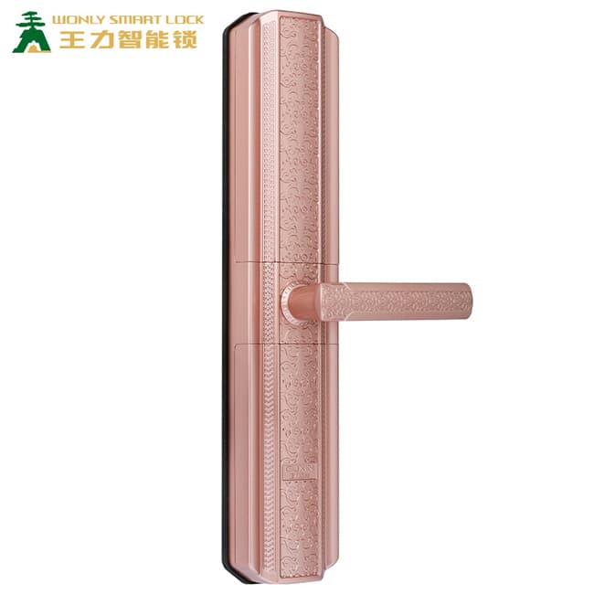 王力指紋鎖 Z206家用智能鎖IC卡鎖