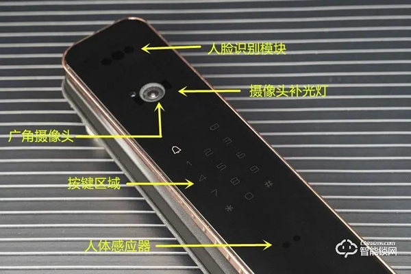 德施曼麒麟R8人臉識別智能鎖靜態體驗