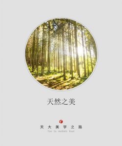 天大木門(mén)美學(xué)之路
